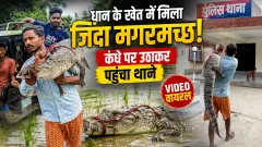 news thumb
