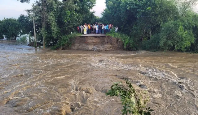भागलपुर के नवगछिया में गंगा-कोसी का कहर, 24 घंटे में तीन जगह टूटे बांध, हजारों लोगों पर मंडराया बाढ़ का खतरा