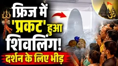 news thumb