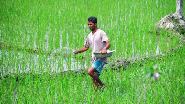 बाढ़ में फसल बर्बादी पर रोका बीमा क्लेम तो उपभोक्ता कोर्ट सख्त, बीमा कंपनी पर लगा हर्जाना; किसान को मिलेंगे ₹1.48 लाख