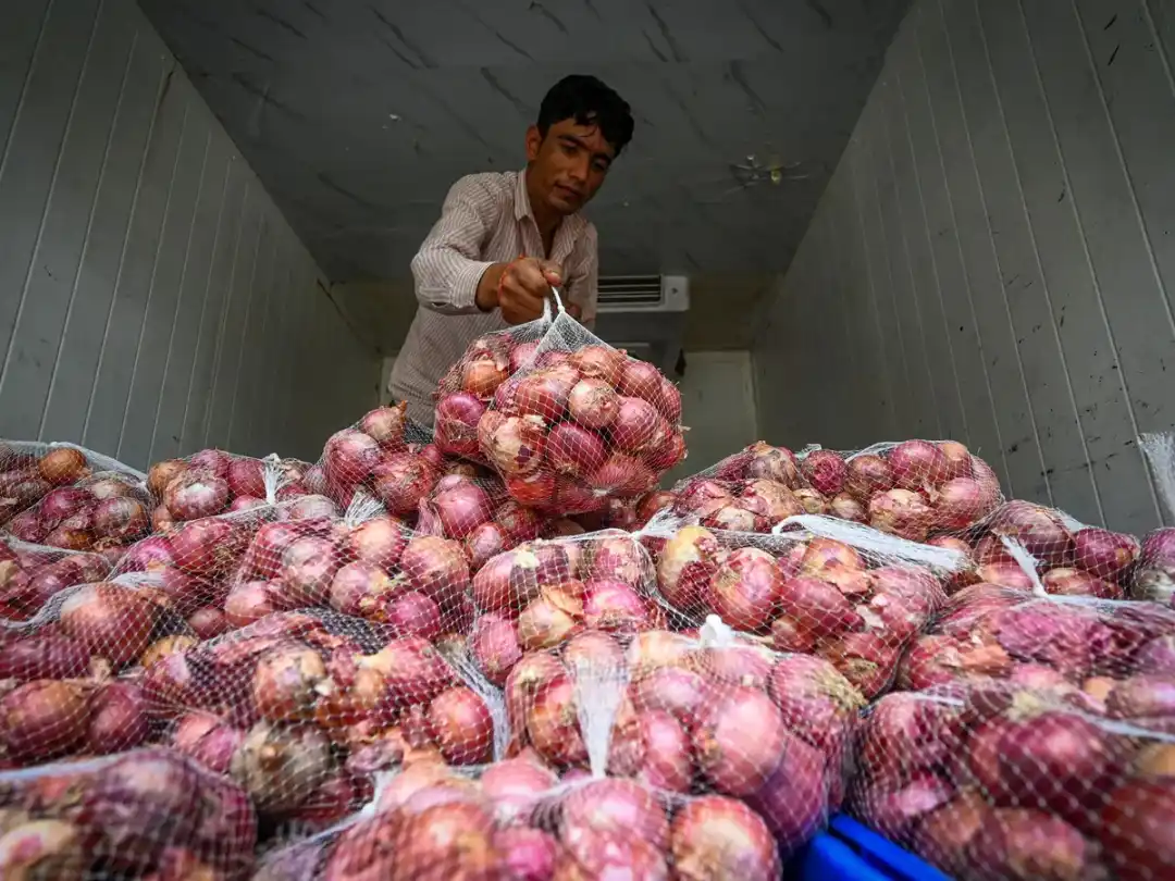 Patna Onion Price: पटना में ₹35 किलो मिलेगा प्याज, NCCF ने महंगाई पर लगाम लगाने को शुरू की मोबाइल वैन सेवा