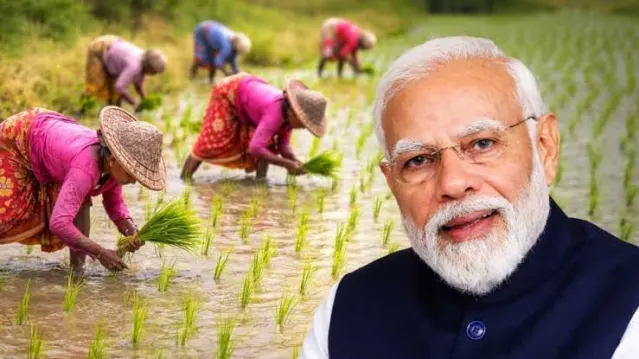 PM Kisan 24वीं किस्त: जानिए कब आएगी राशि और किन गलतियों से रुक सकता है आपका पैसा