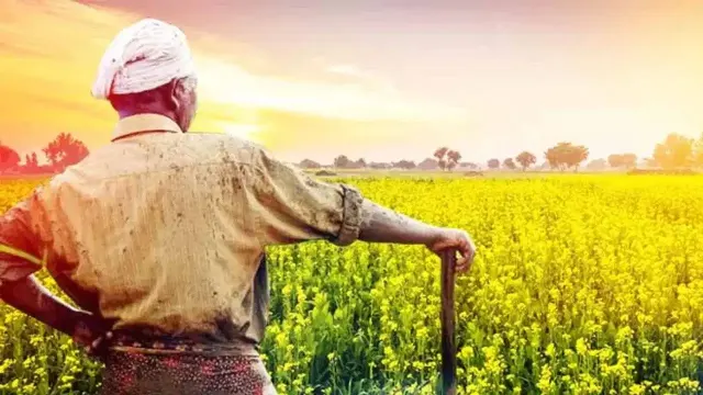 PM Kisan 24वीं किस्त: जानिए कब आएगी राशि और किन गलतियों से रुक सकता है आपका पैसा