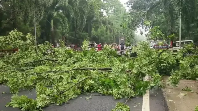 CM सम्राट चौधरी अंदर, बाहर गिरा विशाल पेड़, मची अफरा-तफरी; पटना में भारी बारिश का अलर्ट