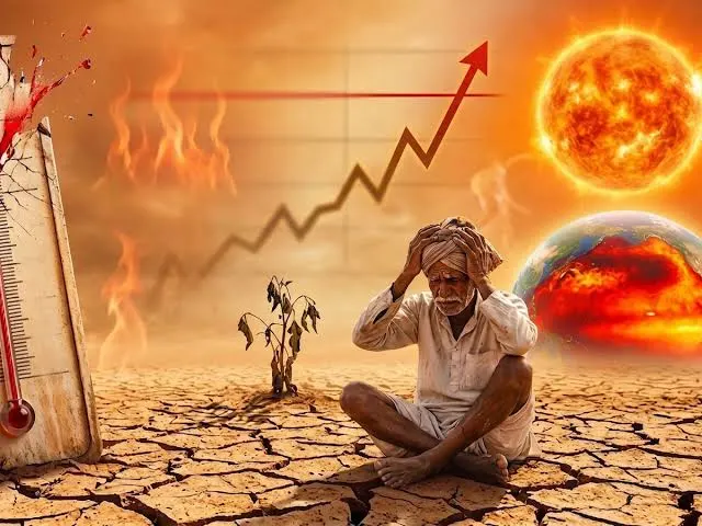 अलनीनो के साये में रबी सीजन, गेहूं और सरसों की खेती पर मंडराया संकट