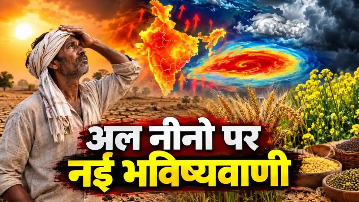 अलनीनो के साये में रबी सीजन, गेहूं और सरसों की खेती पर मंडराया संकट