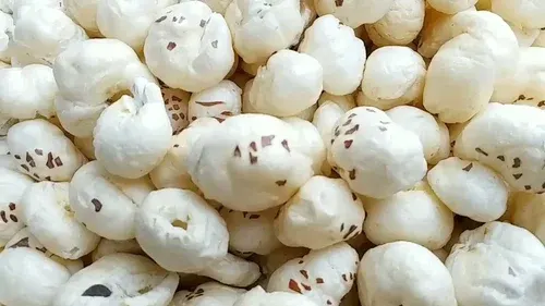 मिथिला का मखाना बना सबकी पसंद: स्वाद के साथ सेहत का खजाना, जानिए क्यों बढ़ रही इसकी मांग