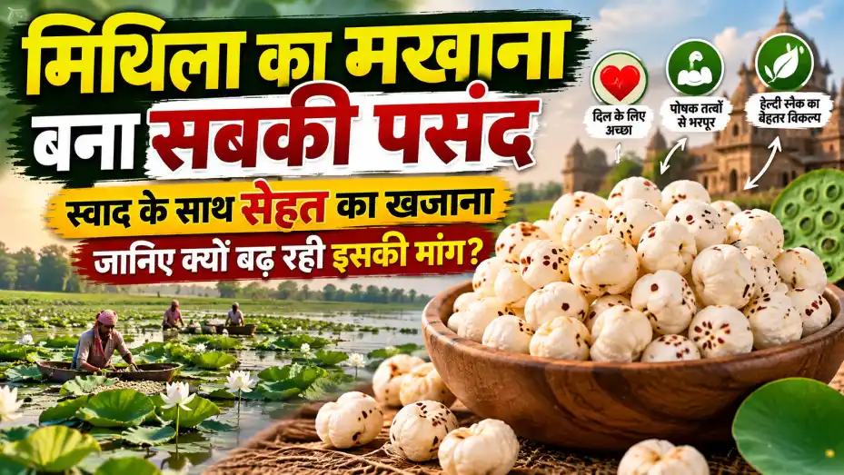 मिथिला का मखाना बना सबकी पसंद: स्वाद के साथ सेहत का खजाना, जानिए क्यों बढ़ रही इसकी मांग